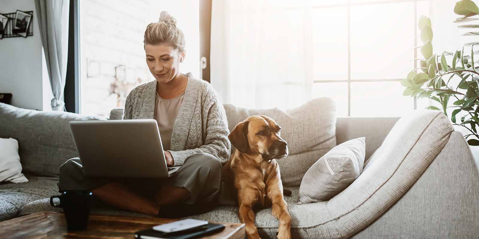 Woman sitting on a couch working on a laptop, wearing comfortable clothing, with a dog beside her in a bright living room